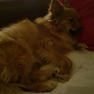 Meet your Posher, Liliah